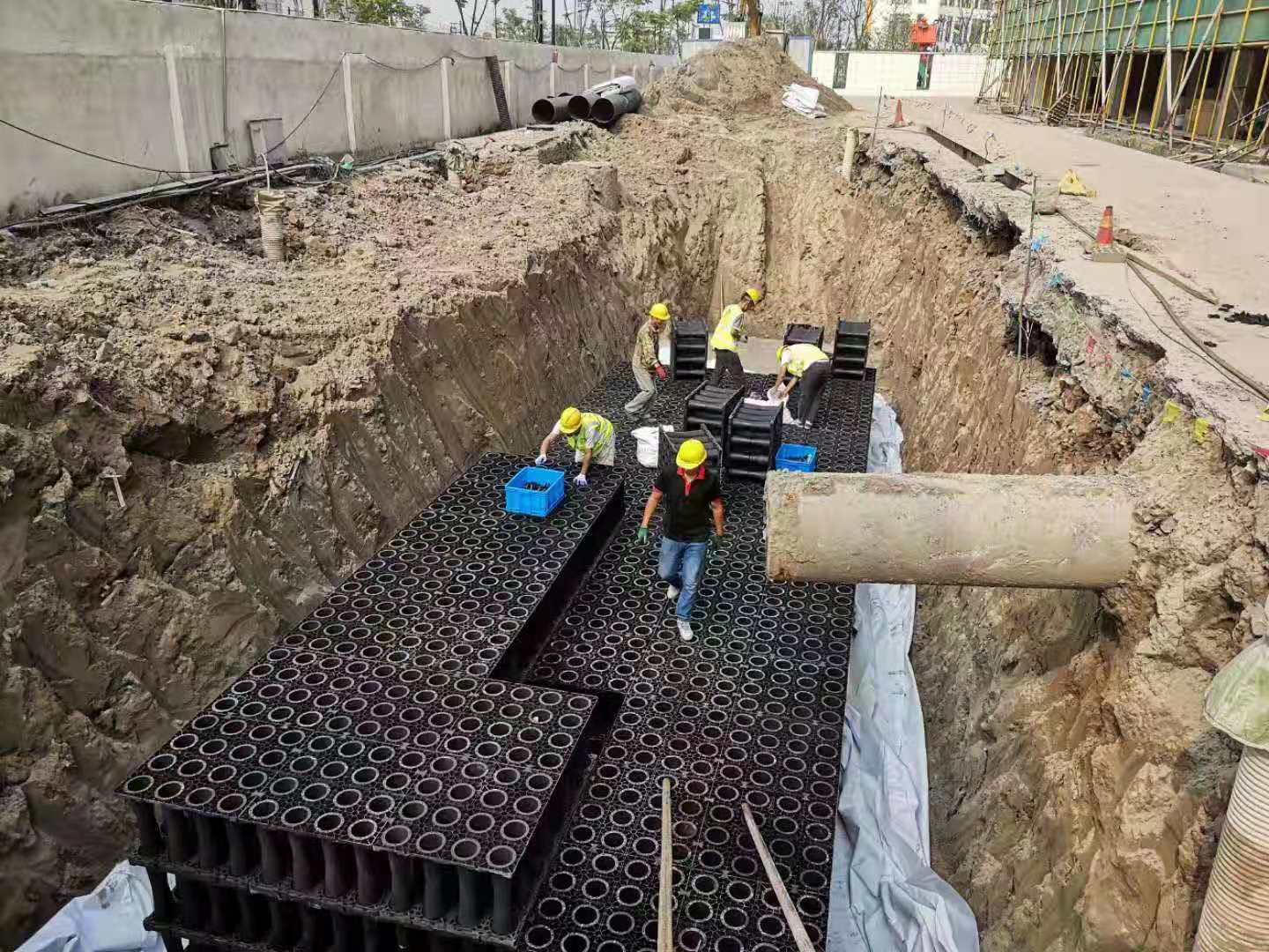 1585039325969949.jpg rainwater sg2.jpg