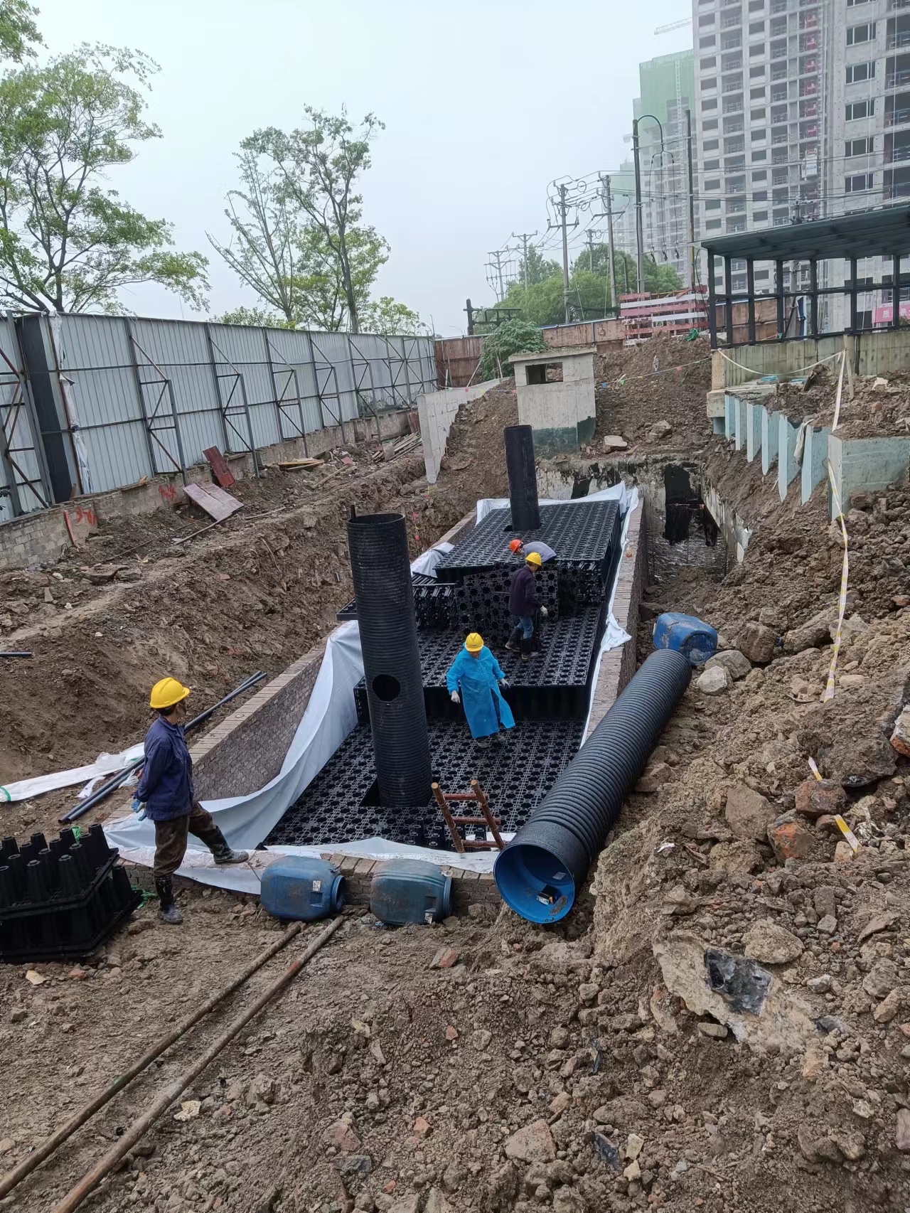 1654581479158008.jpg 4.jpg