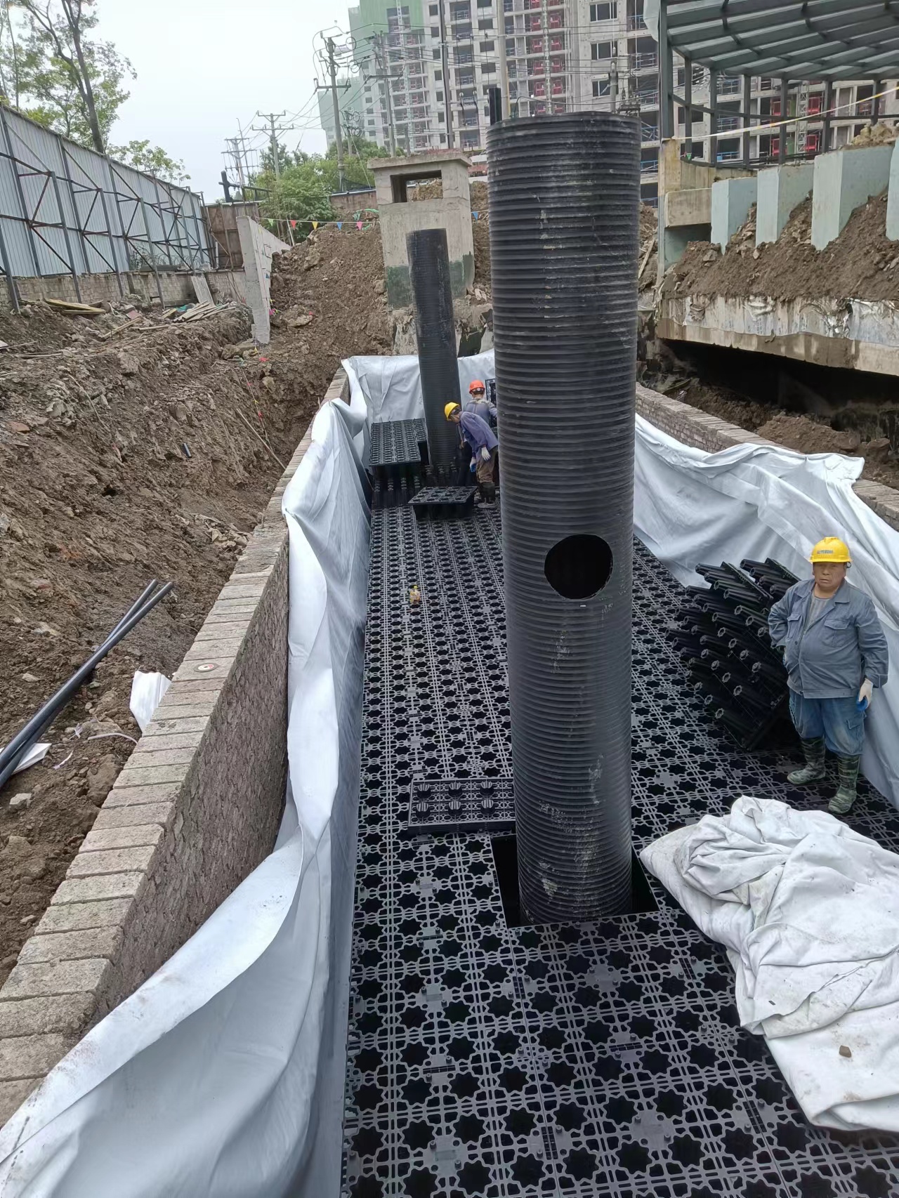 1654581486187997.jpg 5.jpg