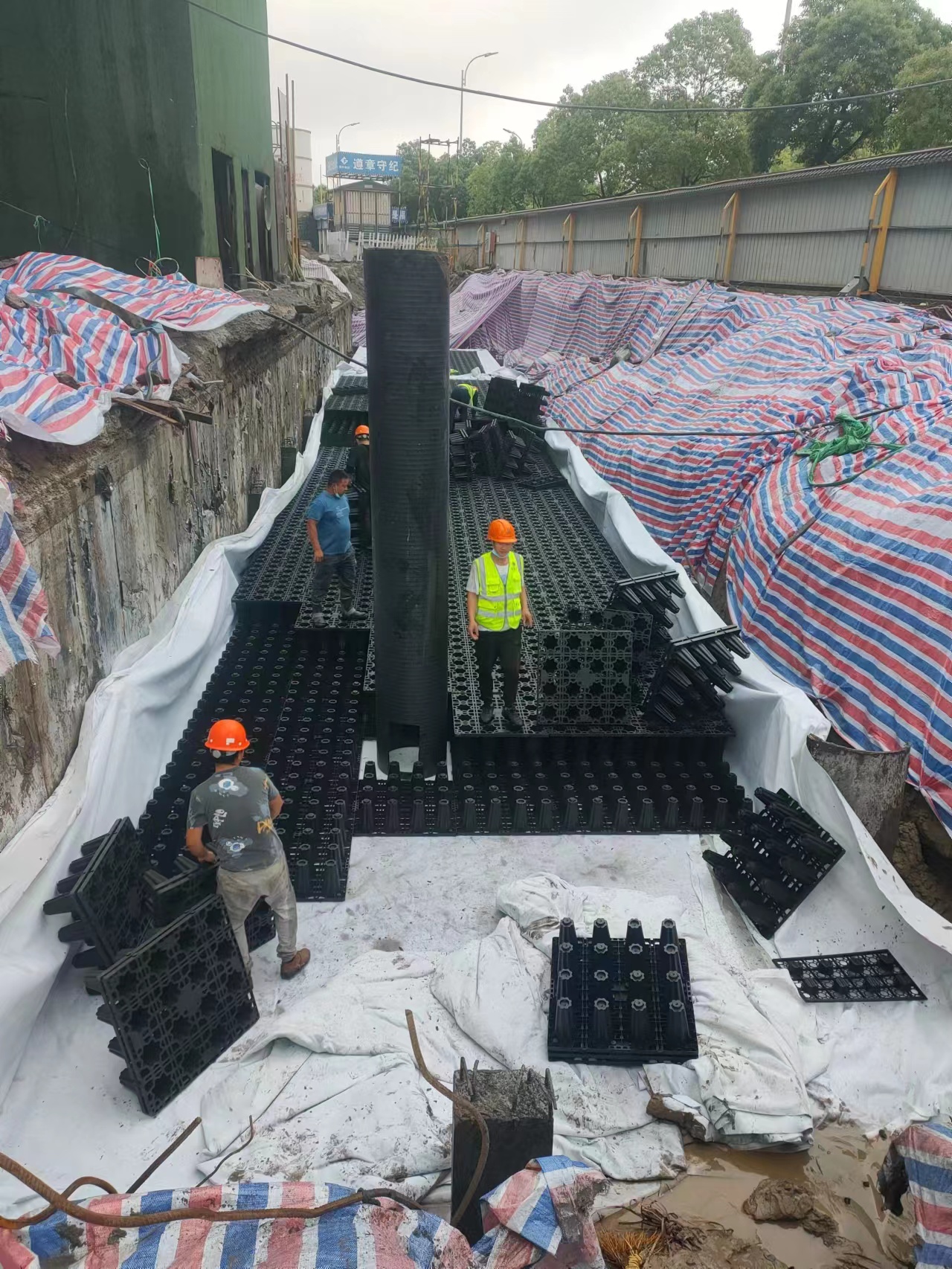 1655191048485888.jpg 3.jpg