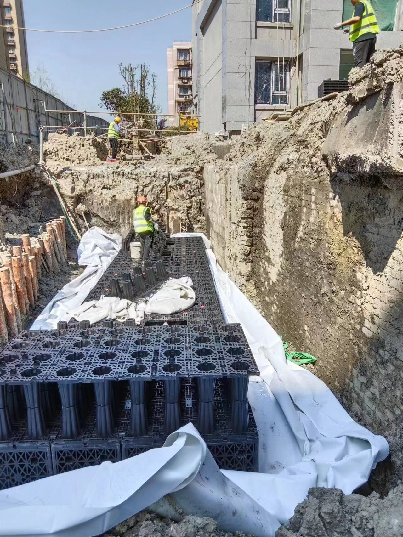 1678258550135111.jpg 2.jpg